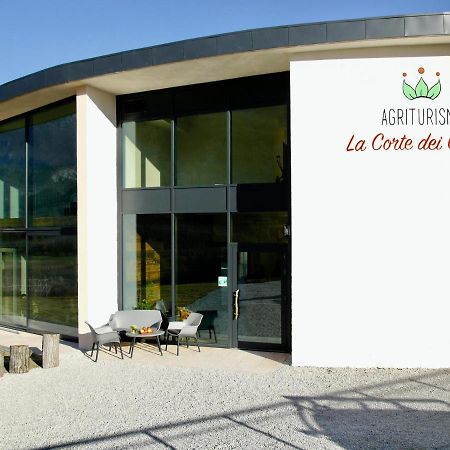 Agritur La Corte Dei Ciliegi Trento Kültér fotó
